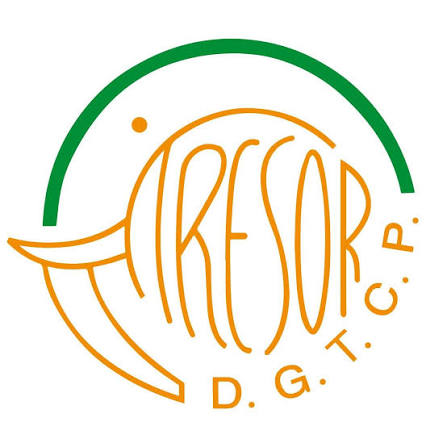 Logo DGTCP